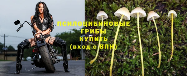 мдма Заволжск